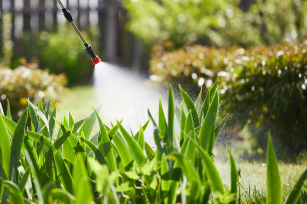 24/7 Emergency Mosquito Control experts in Naranja, FL