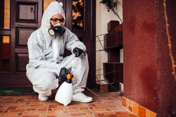 Reliable Mosquito Control contractor in Naranja, FL by Show Me Pest Control